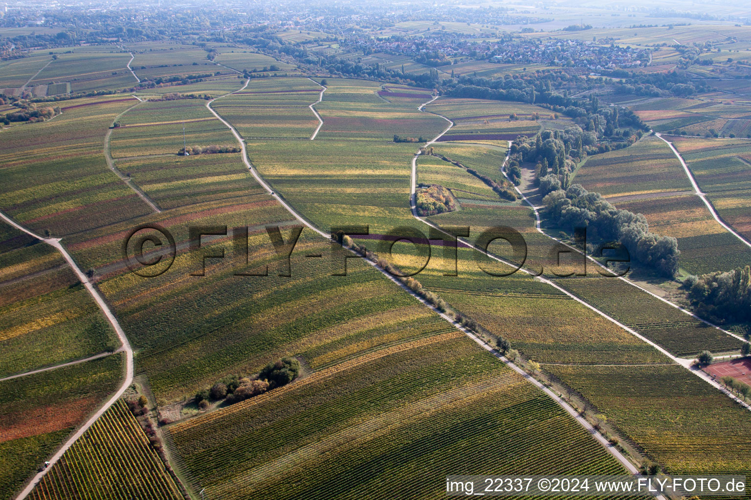 Birkweiler in the state Rhineland-Palatinate, Germany out of the air