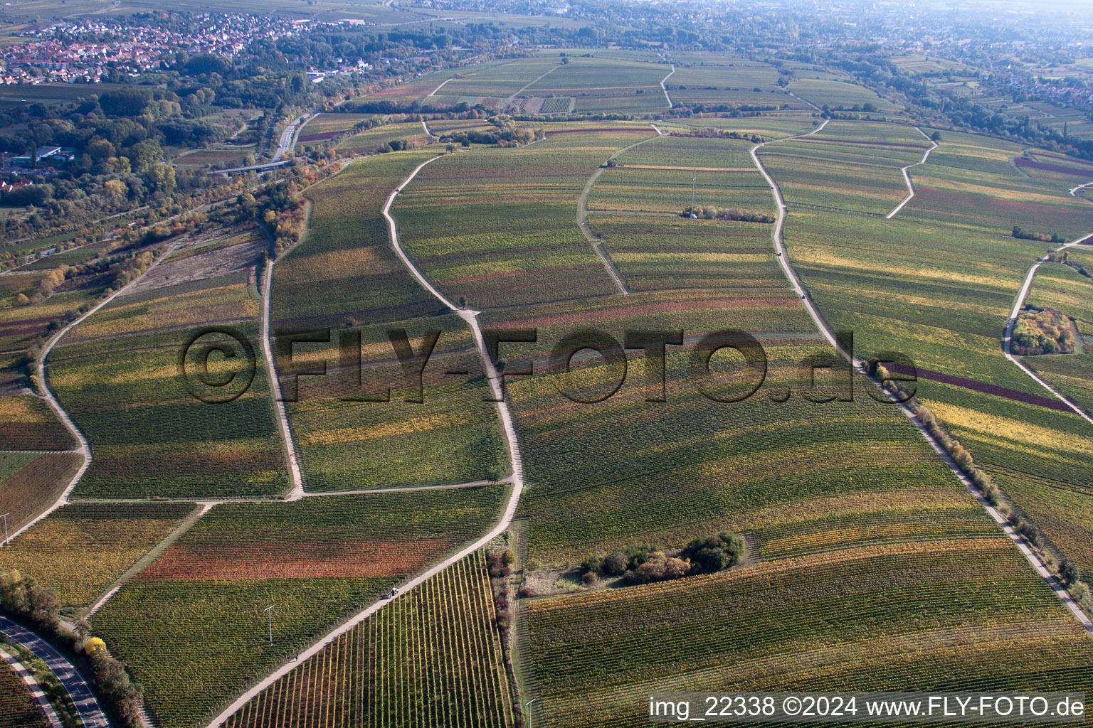 Birkweiler in the state Rhineland-Palatinate, Germany seen from above