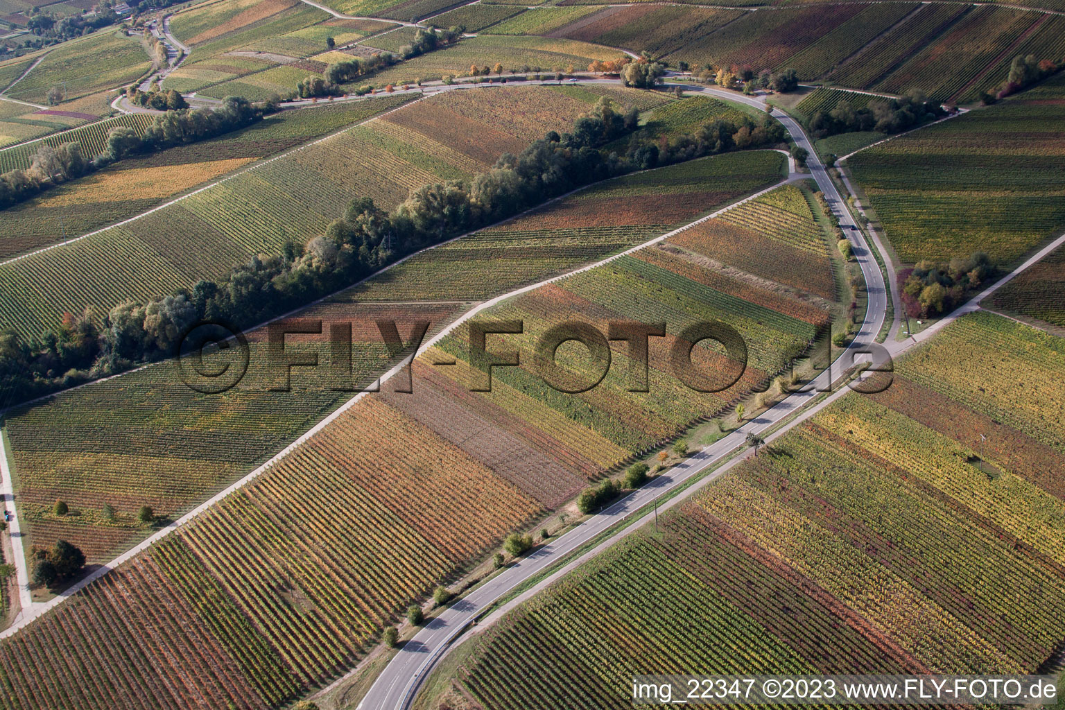 Bird's eye view of Ranschbach in the state Rhineland-Palatinate, Germany