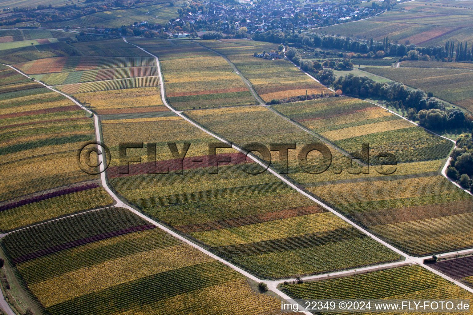 Drone recording of Ranschbach in the state Rhineland-Palatinate, Germany