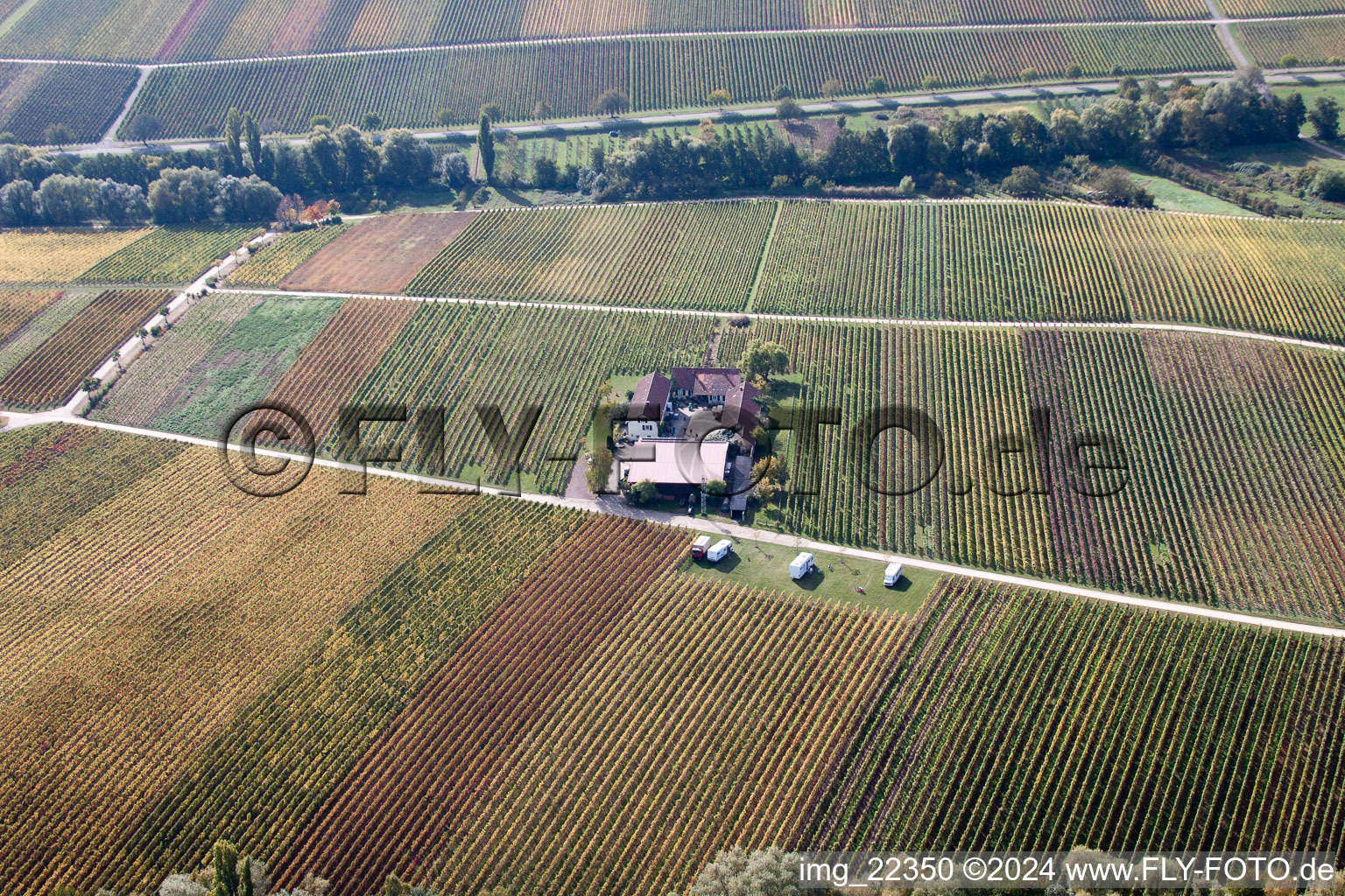 Drone image of Ranschbach in the state Rhineland-Palatinate, Germany