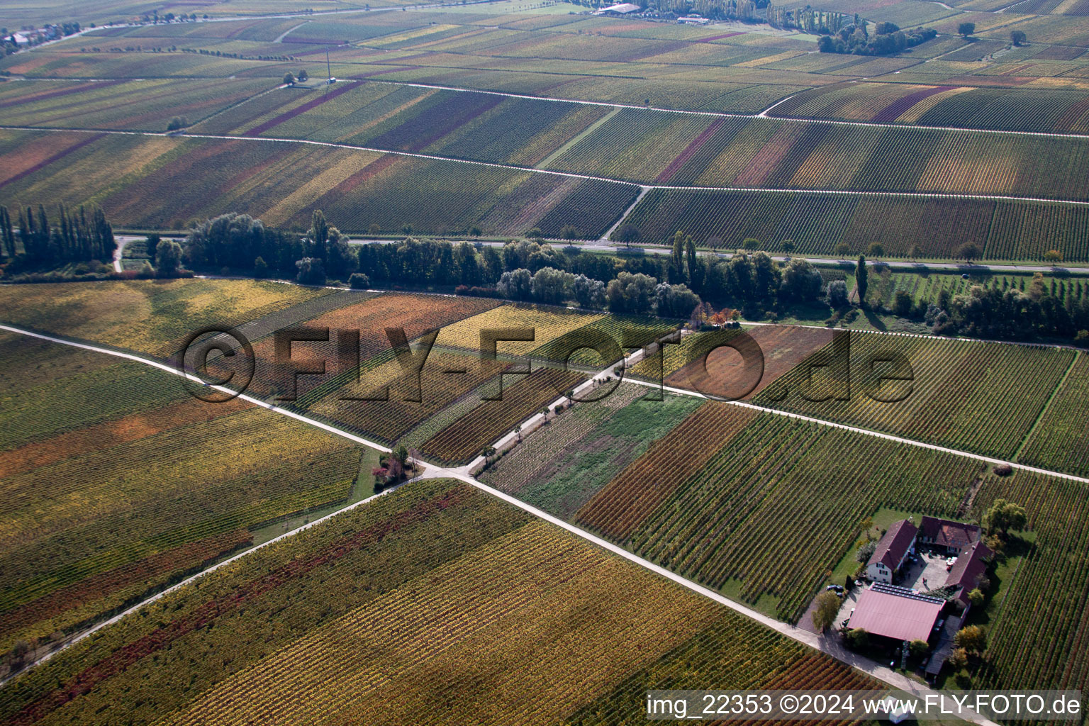 Ranschbach in the state Rhineland-Palatinate, Germany from a drone