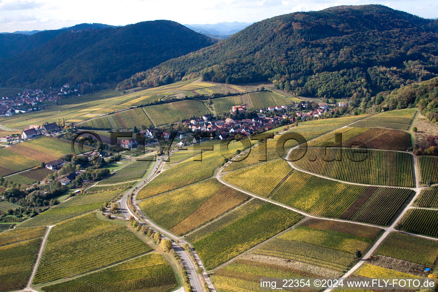 Aerial photograpy of Leinsweiler yard in Leinsweiler in the state Rhineland-Palatinate, Germany