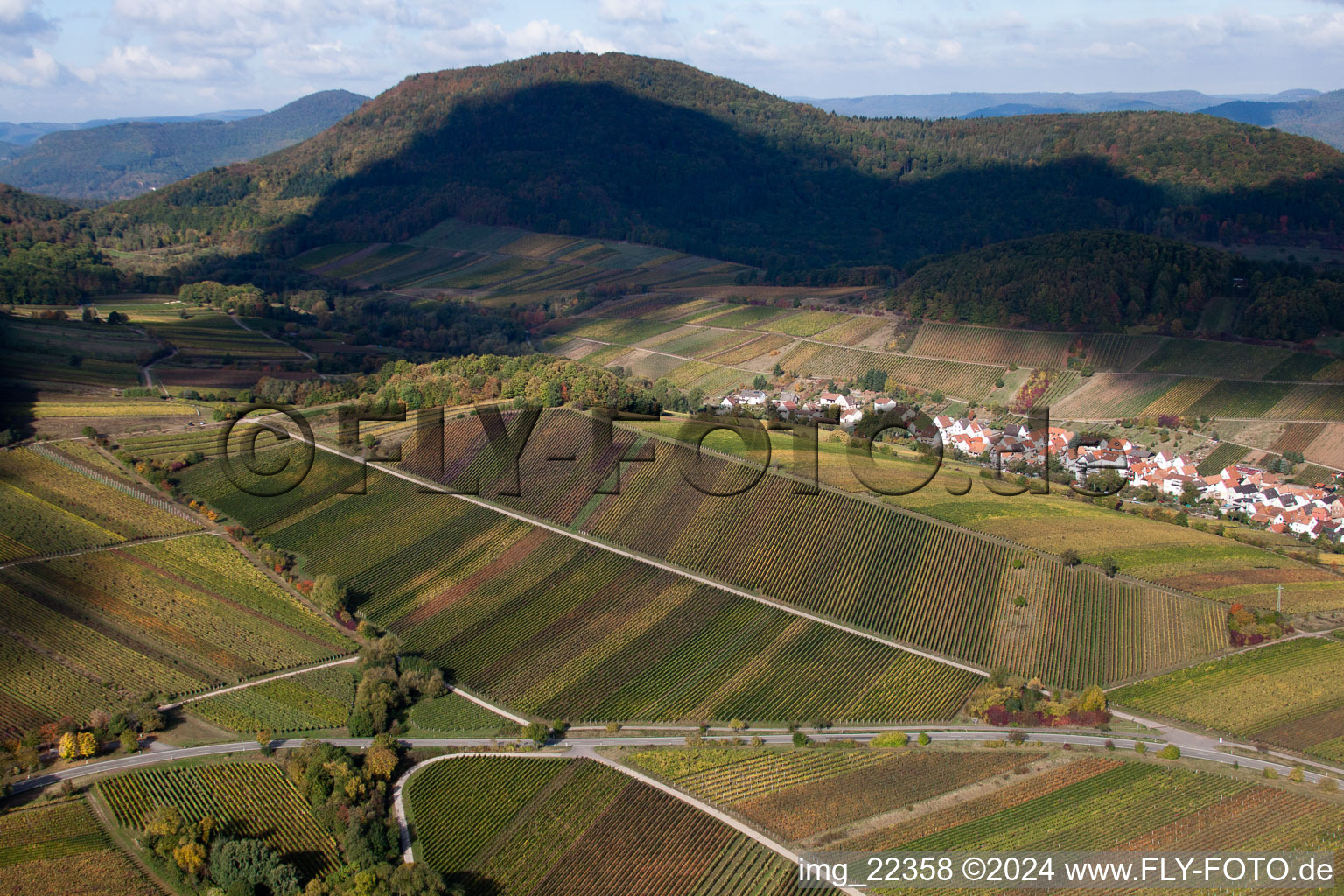 Oblique view of Ranschbach in the state Rhineland-Palatinate, Germany