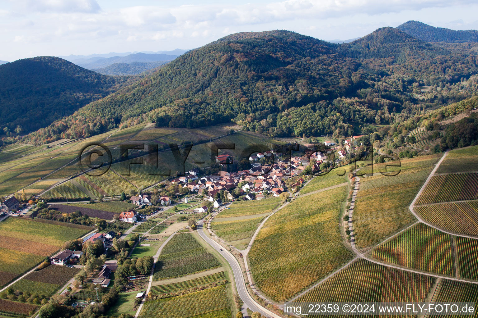 Oblique view of Leinsweiler yard in Leinsweiler in the state Rhineland-Palatinate, Germany