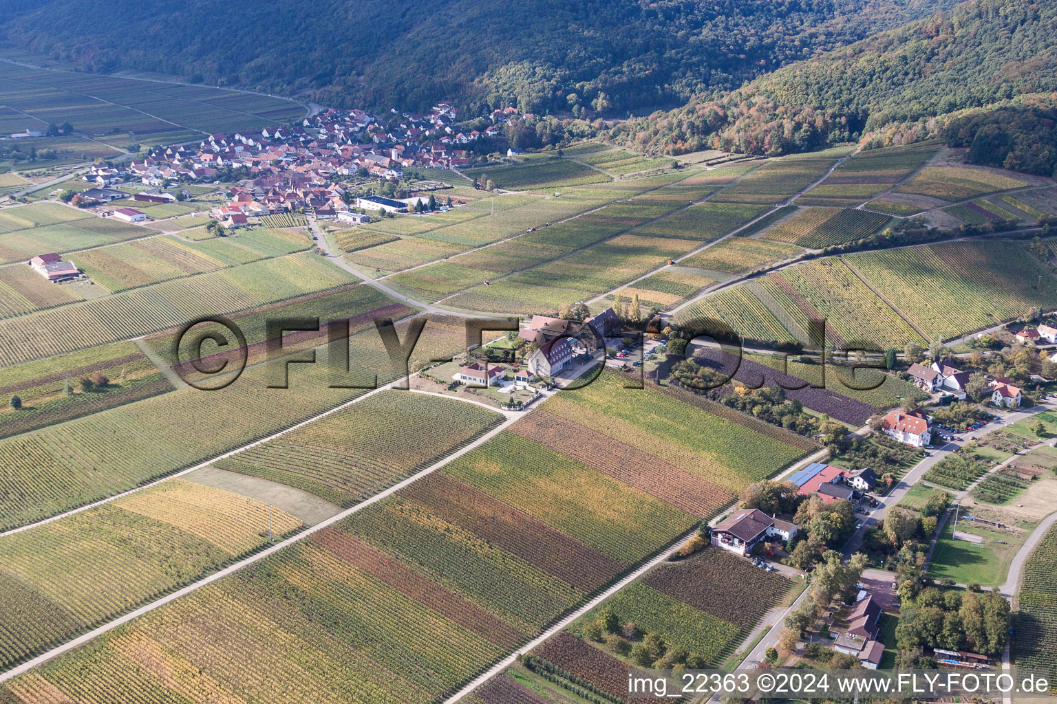 Oblique view of Complex of the hotel building Leinsweiler Hof in Leinsweiler in the state Rhineland-Palatinate, Germany