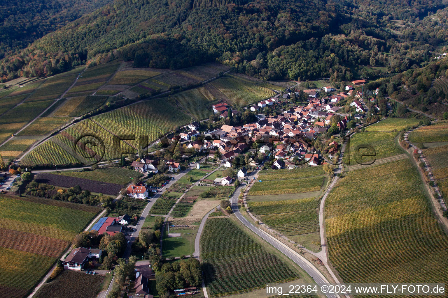 Leinsweiler in the state Rhineland-Palatinate, Germany from the drone perspective