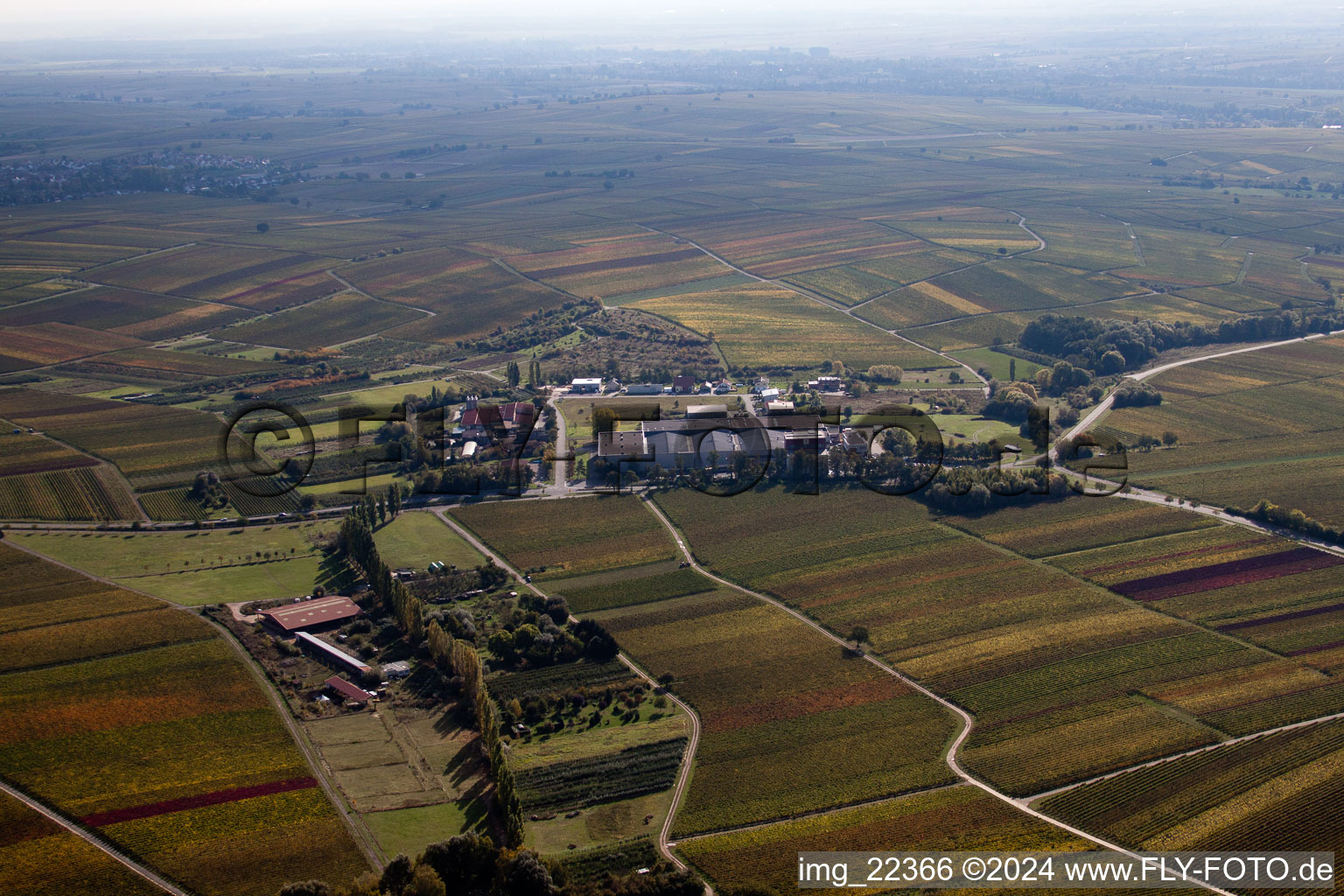 Leinsweiler in the state Rhineland-Palatinate, Germany from a drone