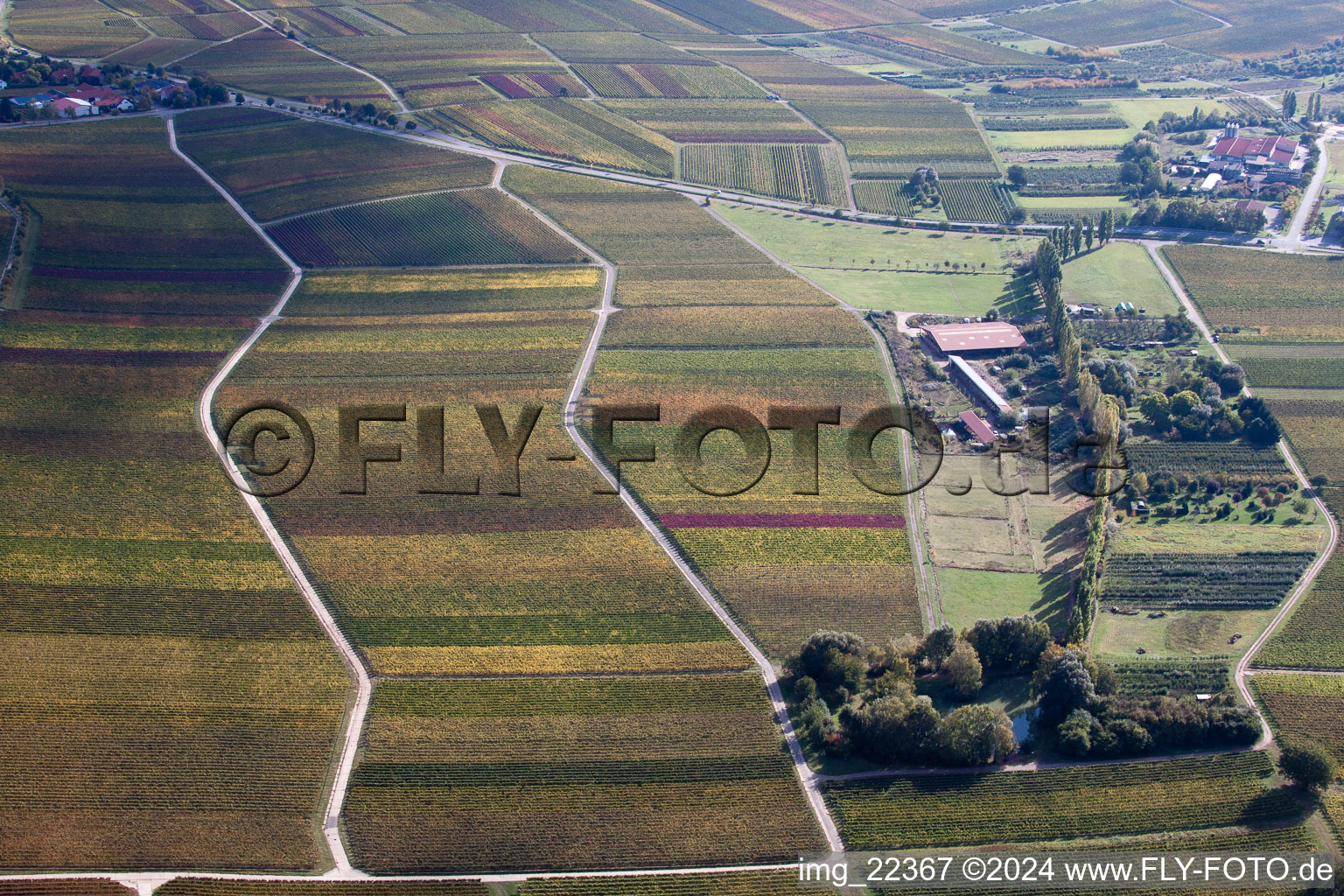 Leinsweiler in the state Rhineland-Palatinate, Germany seen from a drone