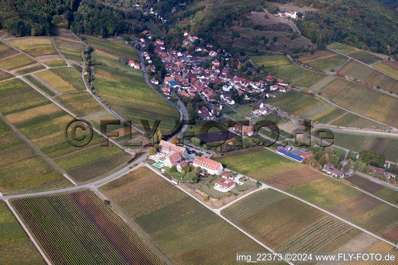 Aerial view of Leinsweiler in the state Rhineland-Palatinate, Germany