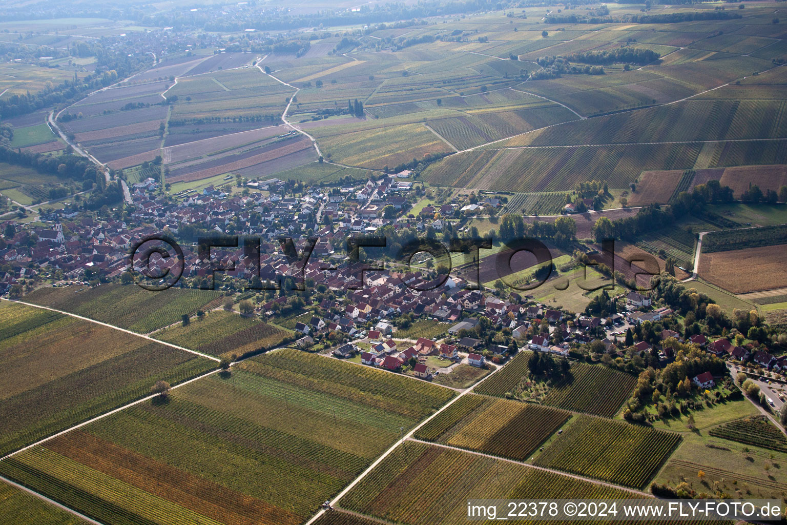 Drone image of Göcklingen in the state Rhineland-Palatinate, Germany