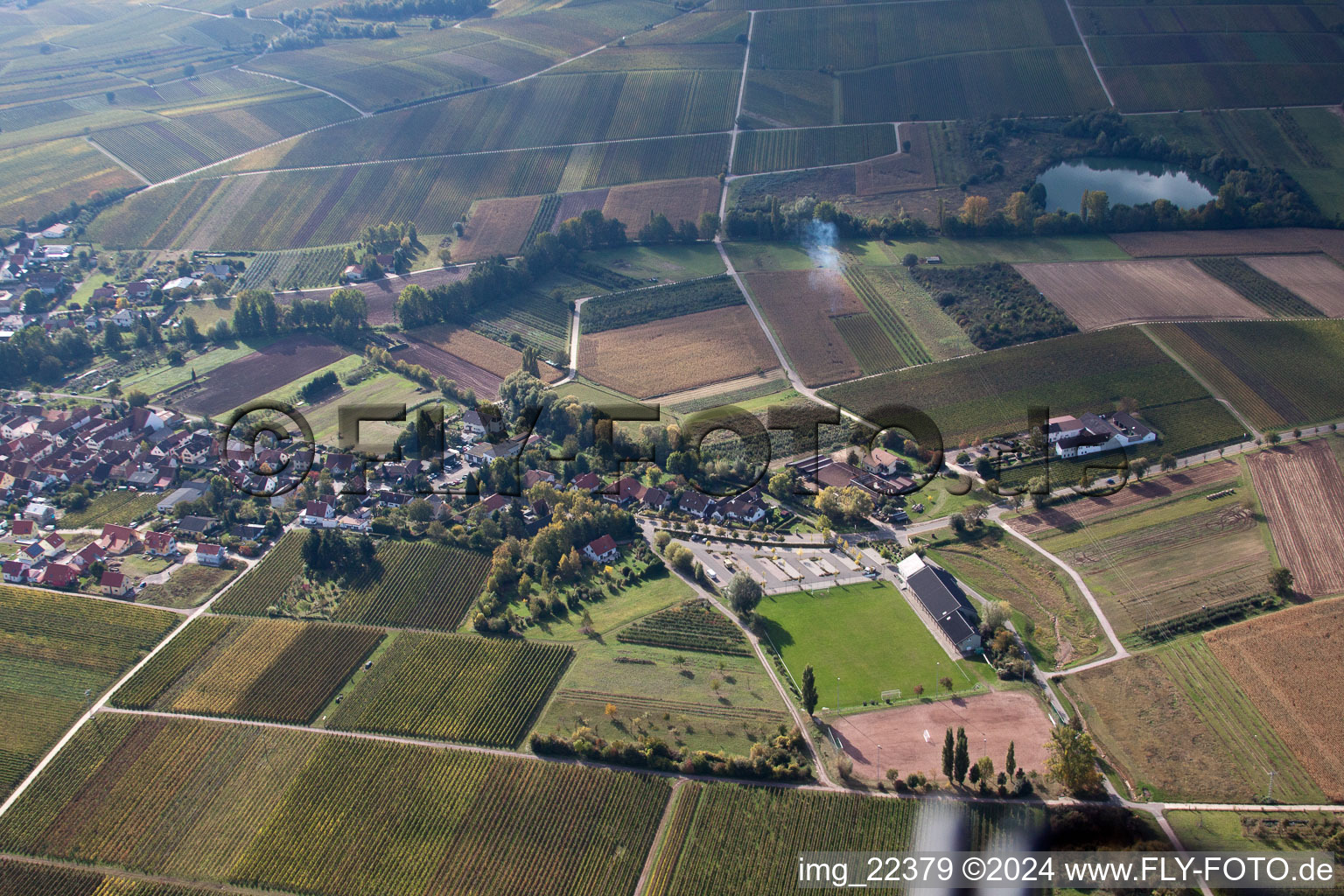 Göcklingen in the state Rhineland-Palatinate, Germany from the drone perspective