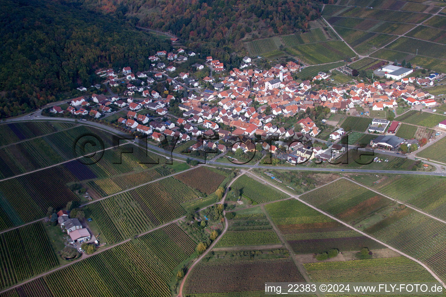 Bird's eye view of Eschbach in the state Rhineland-Palatinate, Germany