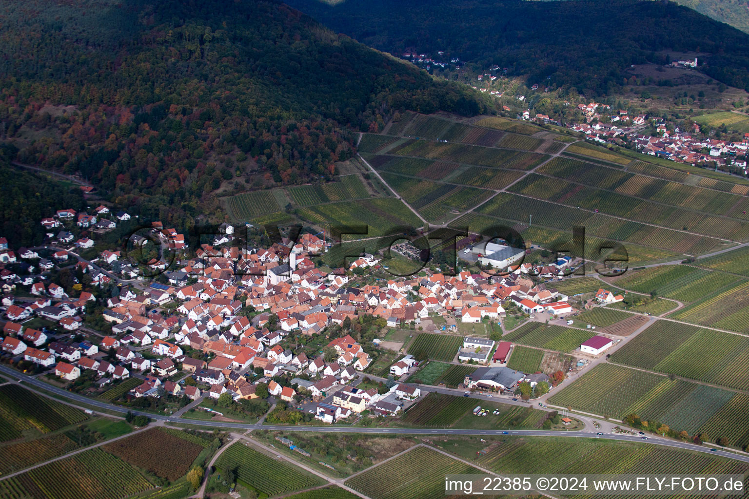 Drone recording of Eschbach in the state Rhineland-Palatinate, Germany