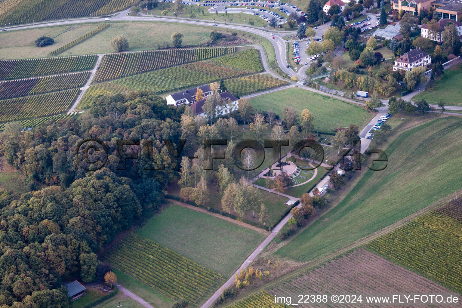 Klingenmünster in the state Rhineland-Palatinate, Germany viewn from the air