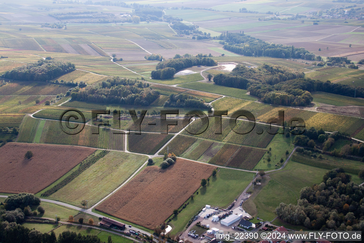 Drone recording of Klingenmünster in the state Rhineland-Palatinate, Germany