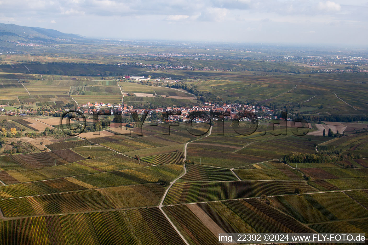 Klingenmünster in the state Rhineland-Palatinate, Germany from the drone perspective