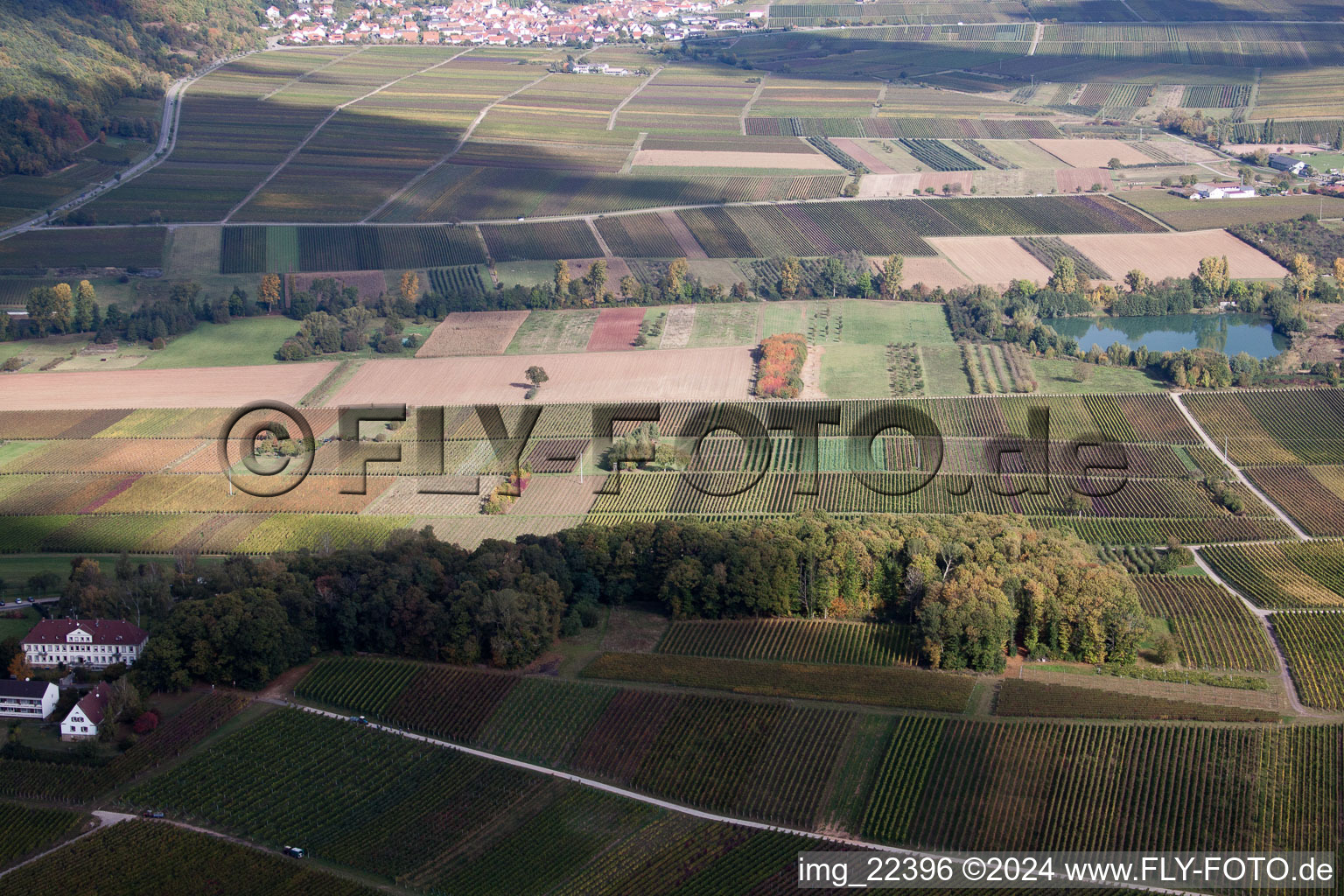 Klingenmünster in the state Rhineland-Palatinate, Germany from a drone