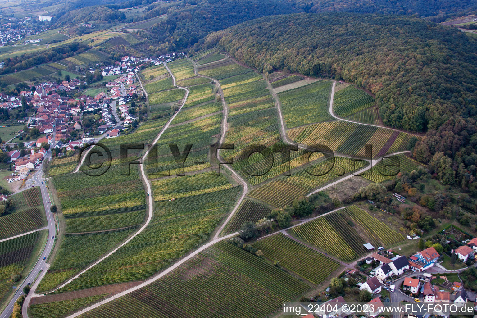 Aerial view of District Pleisweiler in Pleisweiler-Oberhofen in the state Rhineland-Palatinate, Germany