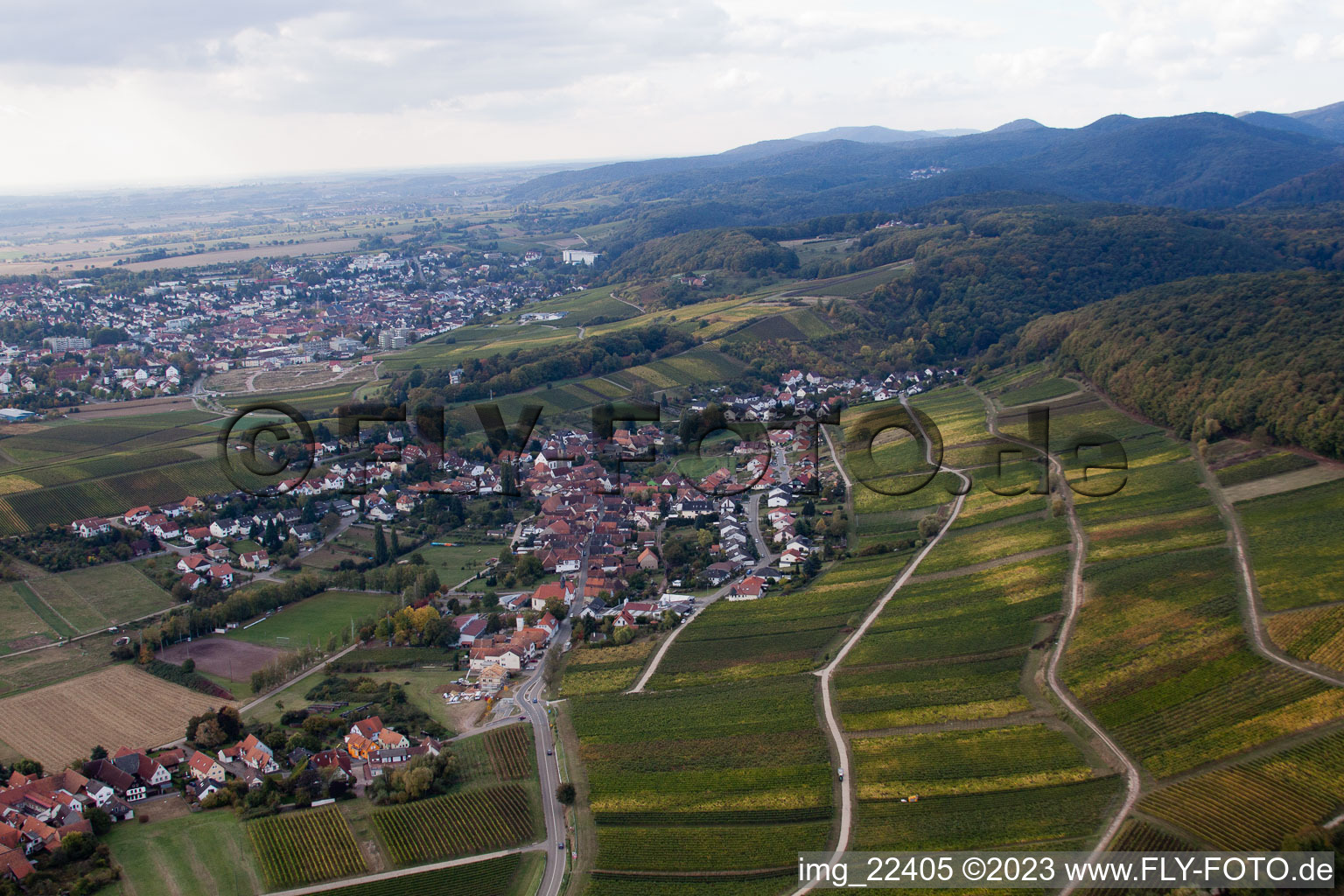 Aerial photograpy of District Pleisweiler in Pleisweiler-Oberhofen in the state Rhineland-Palatinate, Germany