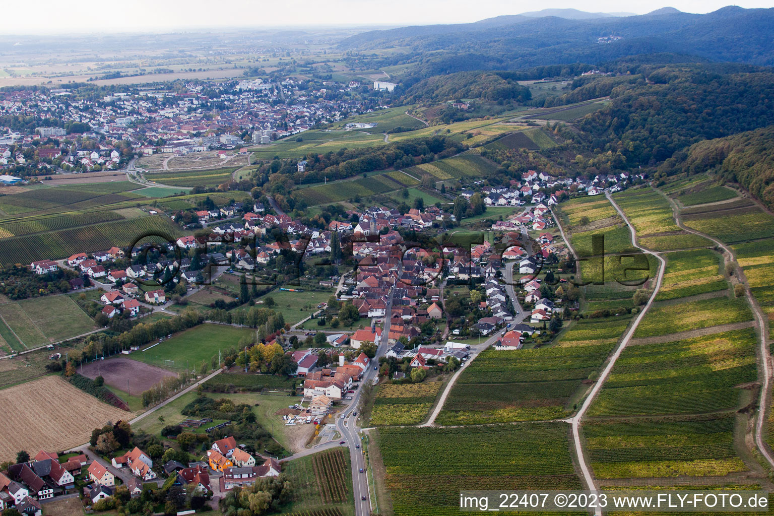 Oblique view of District Pleisweiler in Pleisweiler-Oberhofen in the state Rhineland-Palatinate, Germany