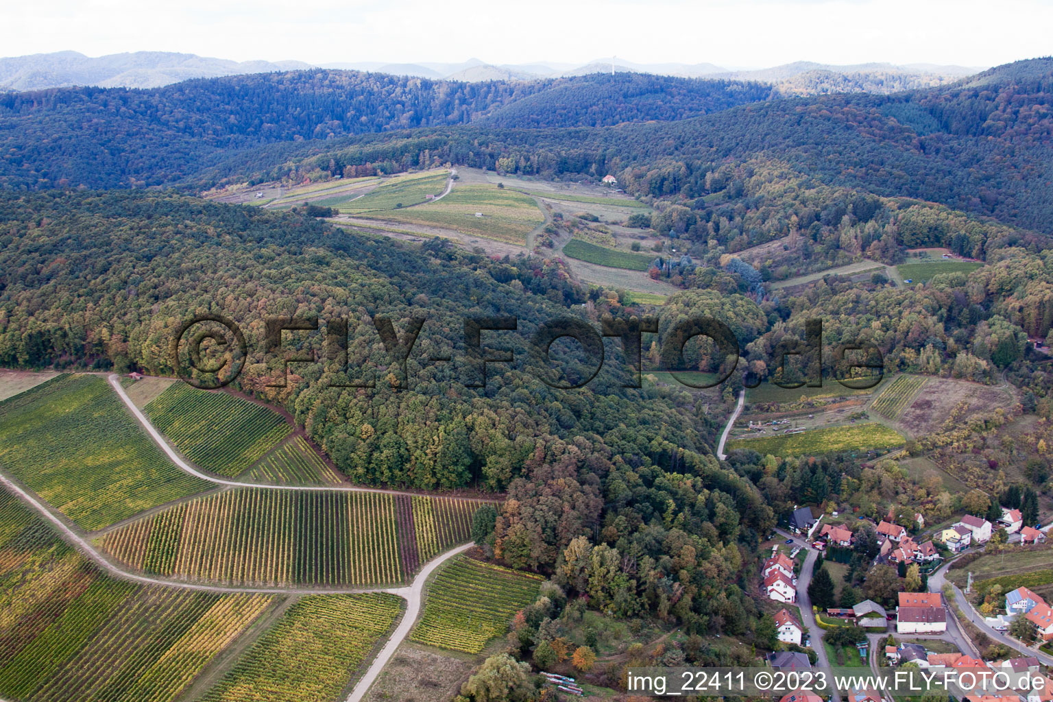 District Pleisweiler in Pleisweiler-Oberhofen in the state Rhineland-Palatinate, Germany from above
