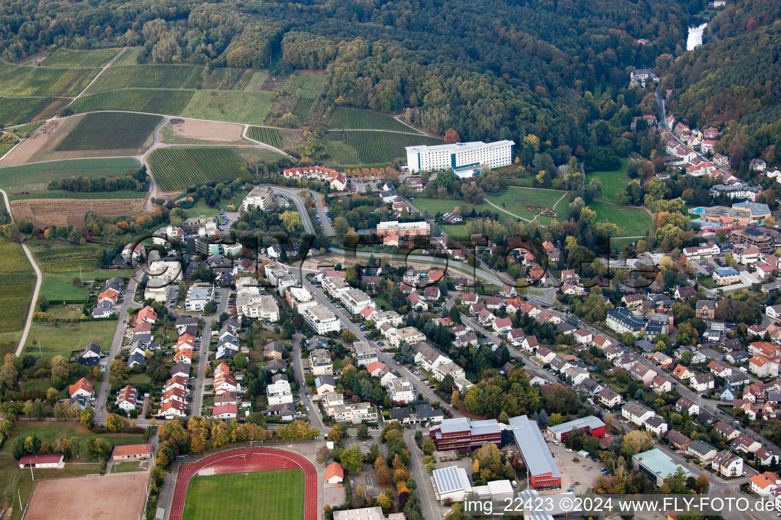 Oblique view of Bad Bergzabern in the state Rhineland-Palatinate, Germany