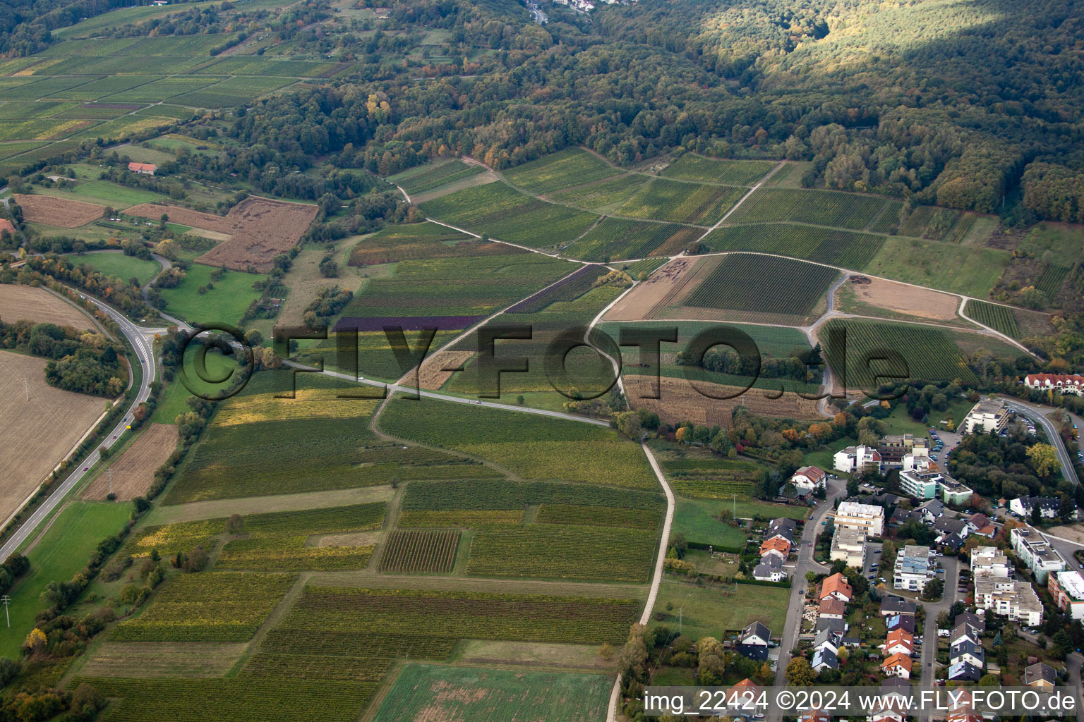 Bad Bergzabern in the state Rhineland-Palatinate, Germany from above