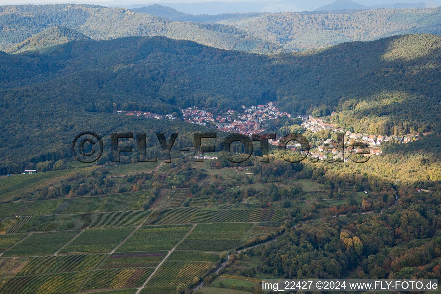 Dörrenbach in the state Rhineland-Palatinate, Germany from above