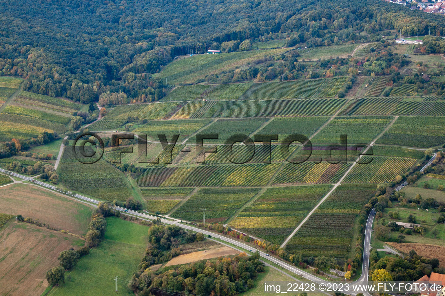 Dörrenbach in the state Rhineland-Palatinate, Germany out of the air