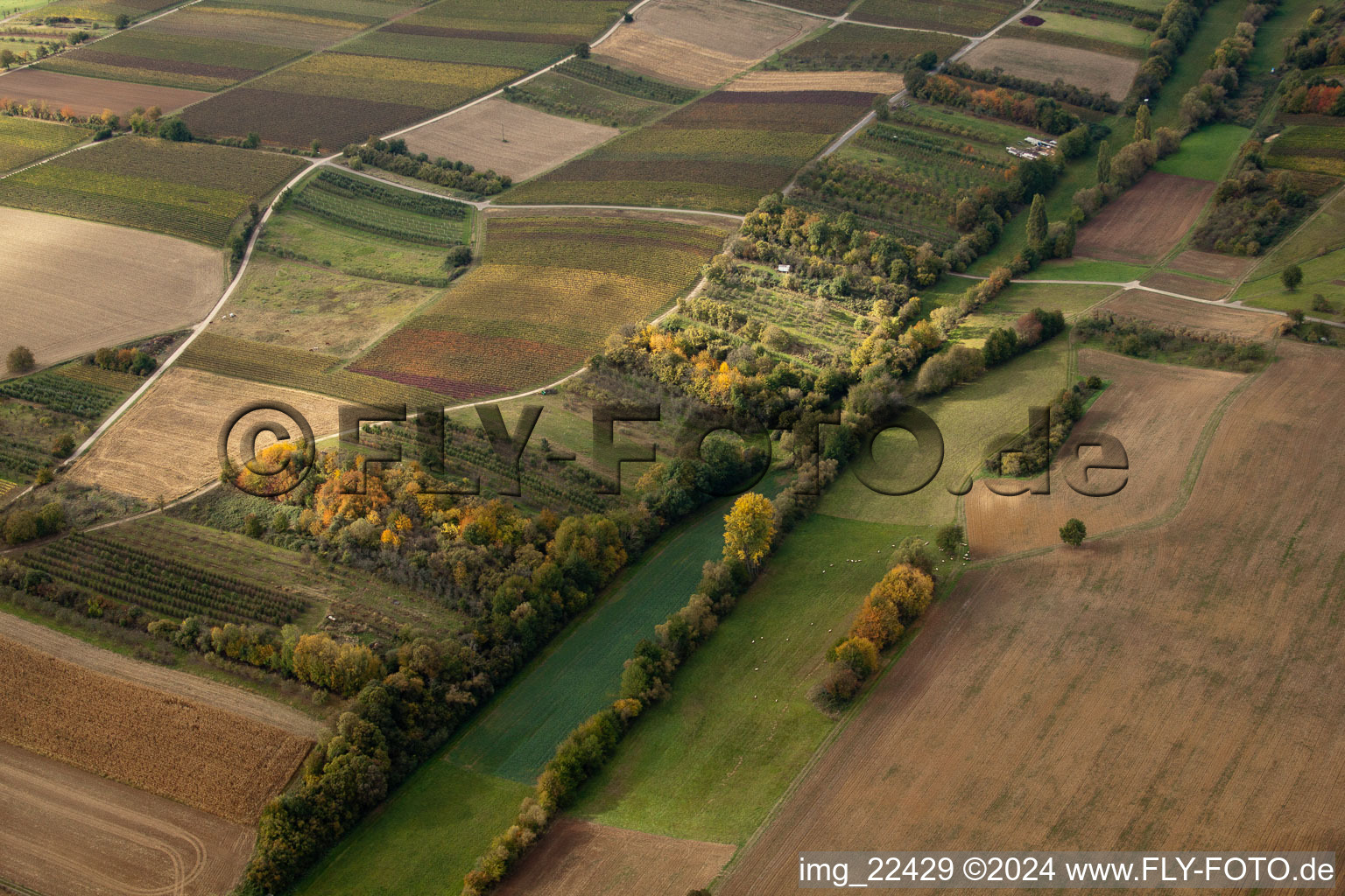 Drone image of Deutschhof in the state Rhineland-Palatinate, Germany