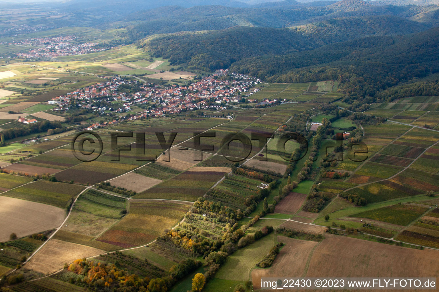 Oberotterbach in the state Rhineland-Palatinate, Germany from the drone perspective