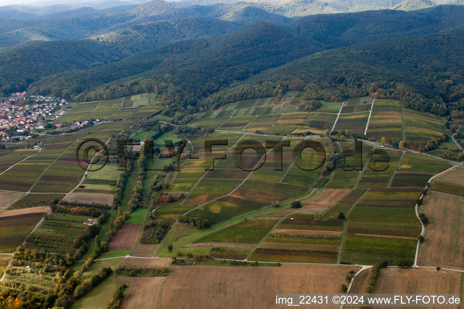 Oberotterbach in the state Rhineland-Palatinate, Germany from a drone