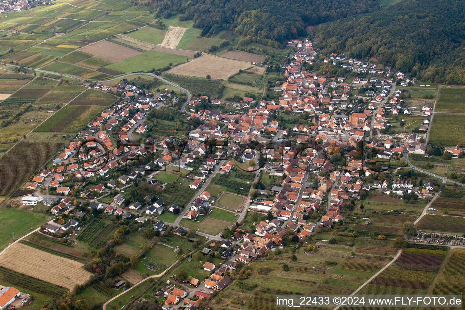 Oberotterbach in the state Rhineland-Palatinate, Germany seen from a drone