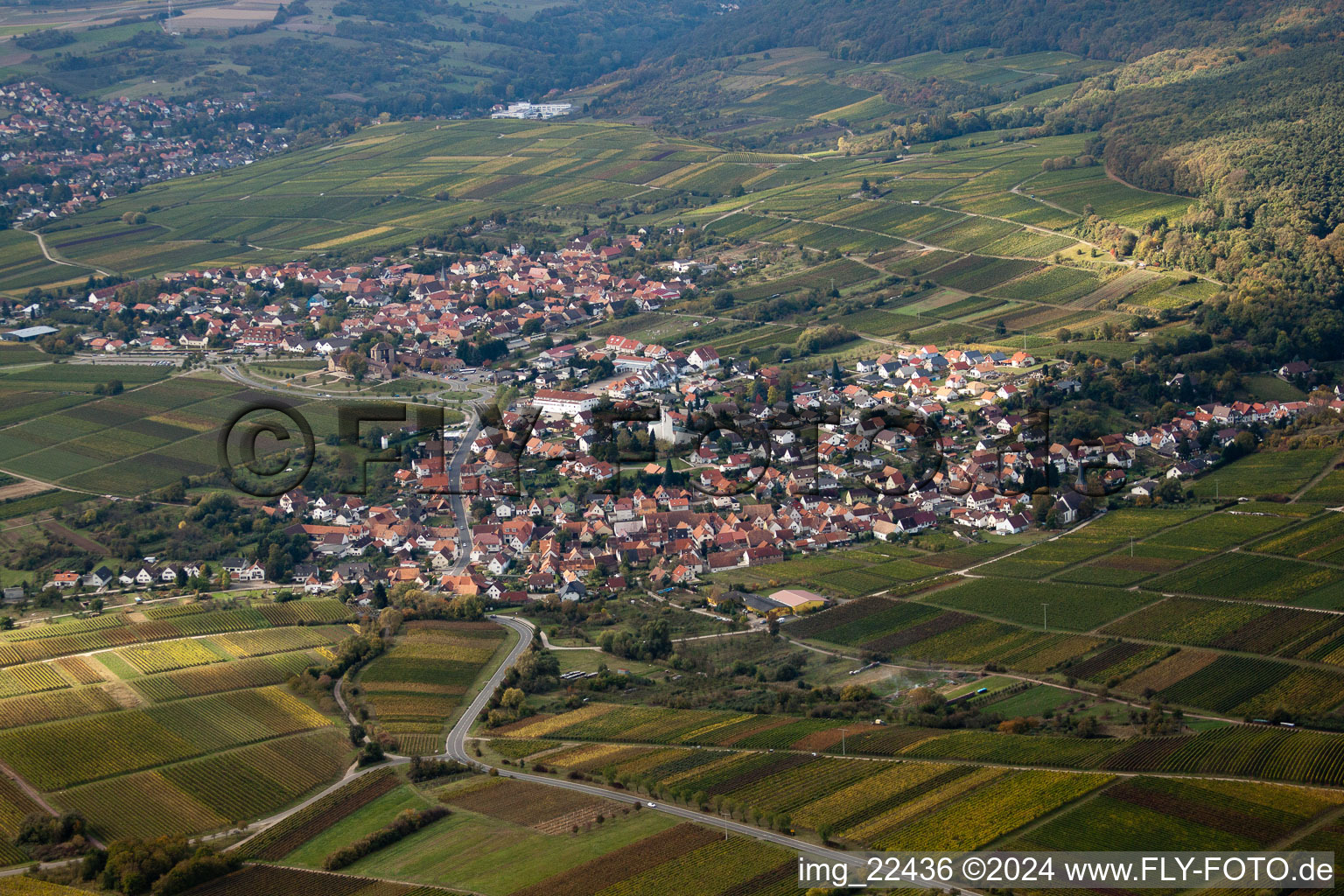 District Rechtenbach in Schweigen-Rechtenbach in the state Rhineland-Palatinate, Germany from above