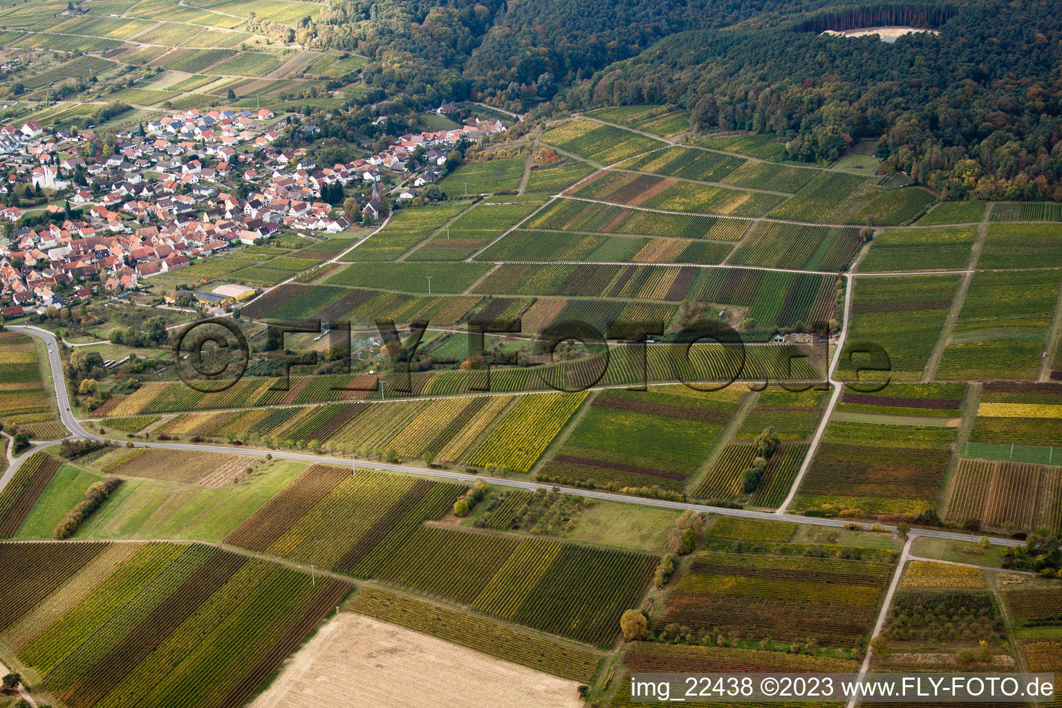 District Rechtenbach in Schweigen-Rechtenbach in the state Rhineland-Palatinate, Germany out of the air