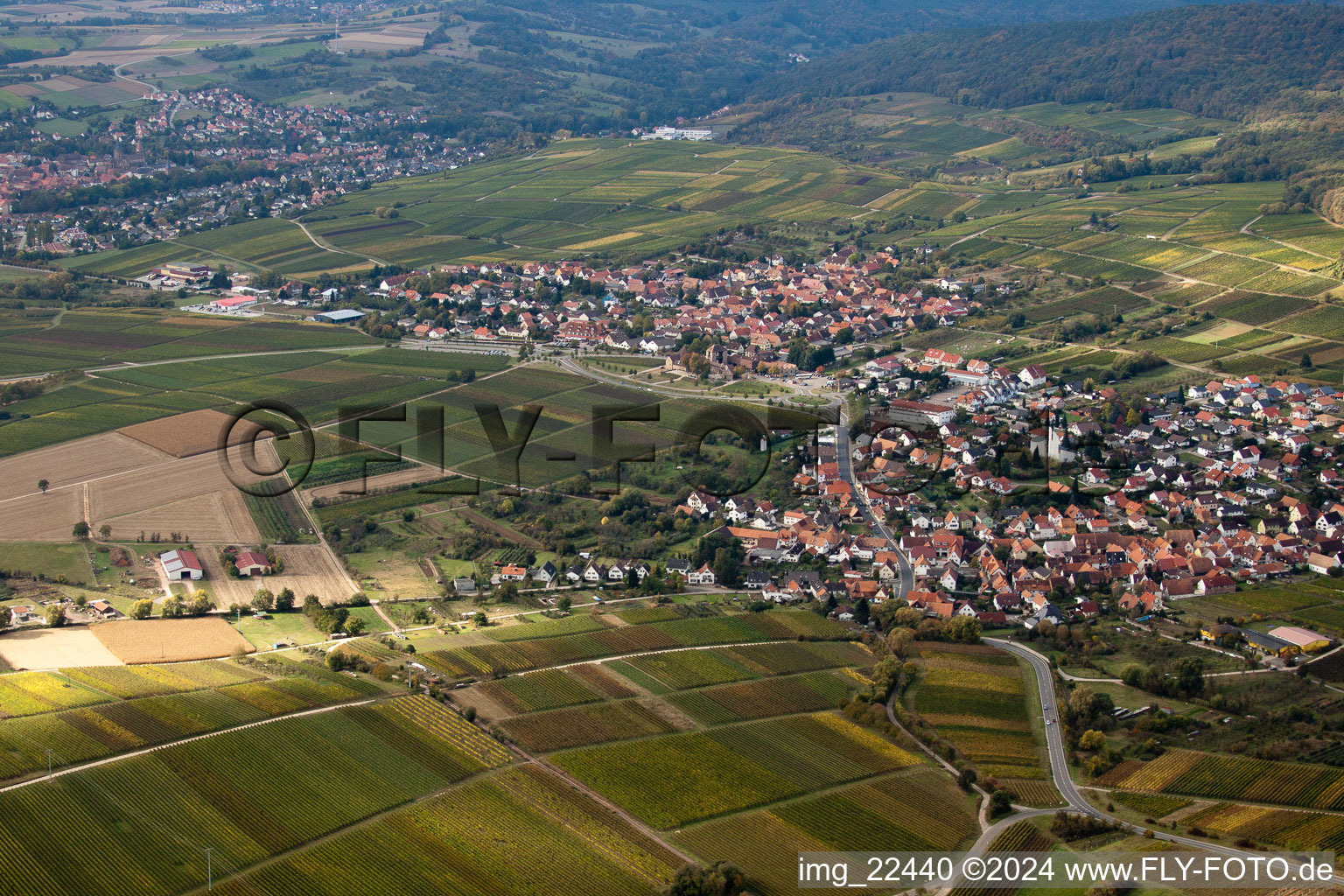 District Rechtenbach in Schweigen-Rechtenbach in the state Rhineland-Palatinate, Germany seen from above