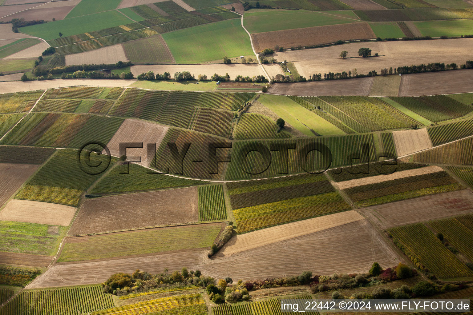 Drone recording of Schweighofen in the state Rhineland-Palatinate, Germany