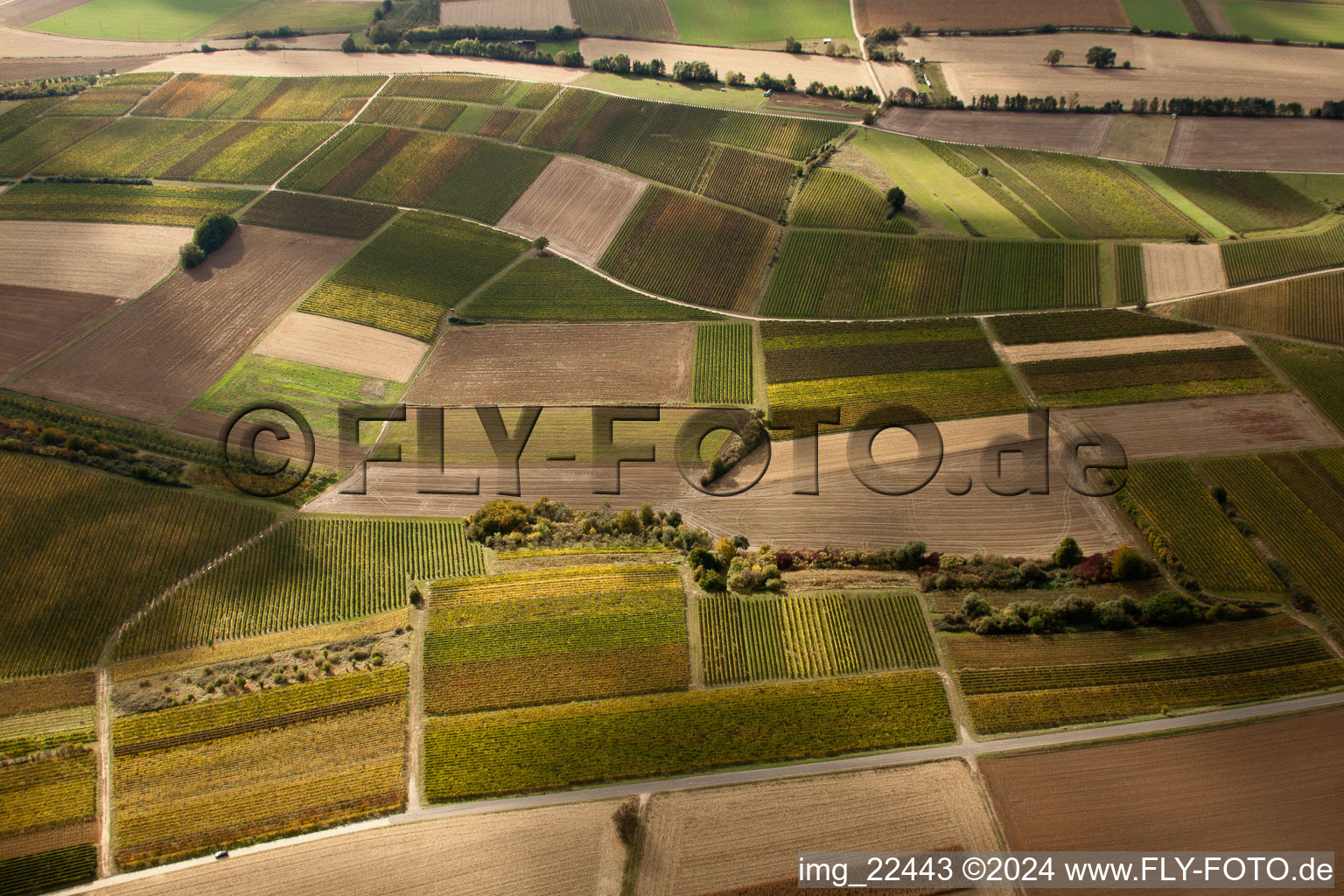 Drone image of Schweighofen in the state Rhineland-Palatinate, Germany