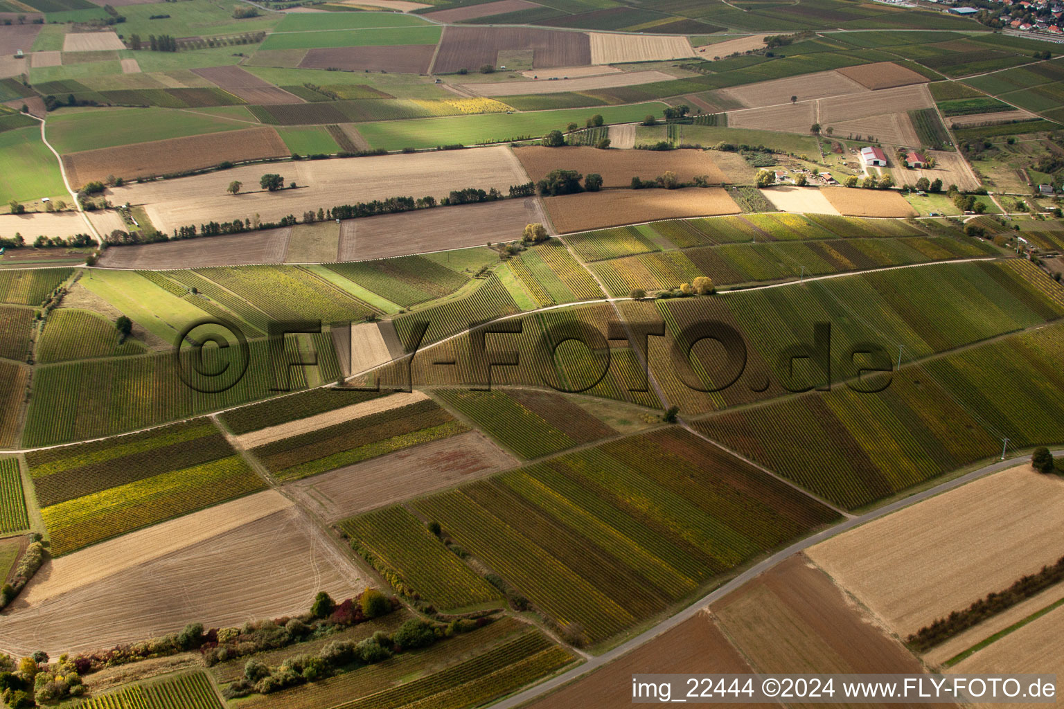 Schweighofen in the state Rhineland-Palatinate, Germany from the drone perspective