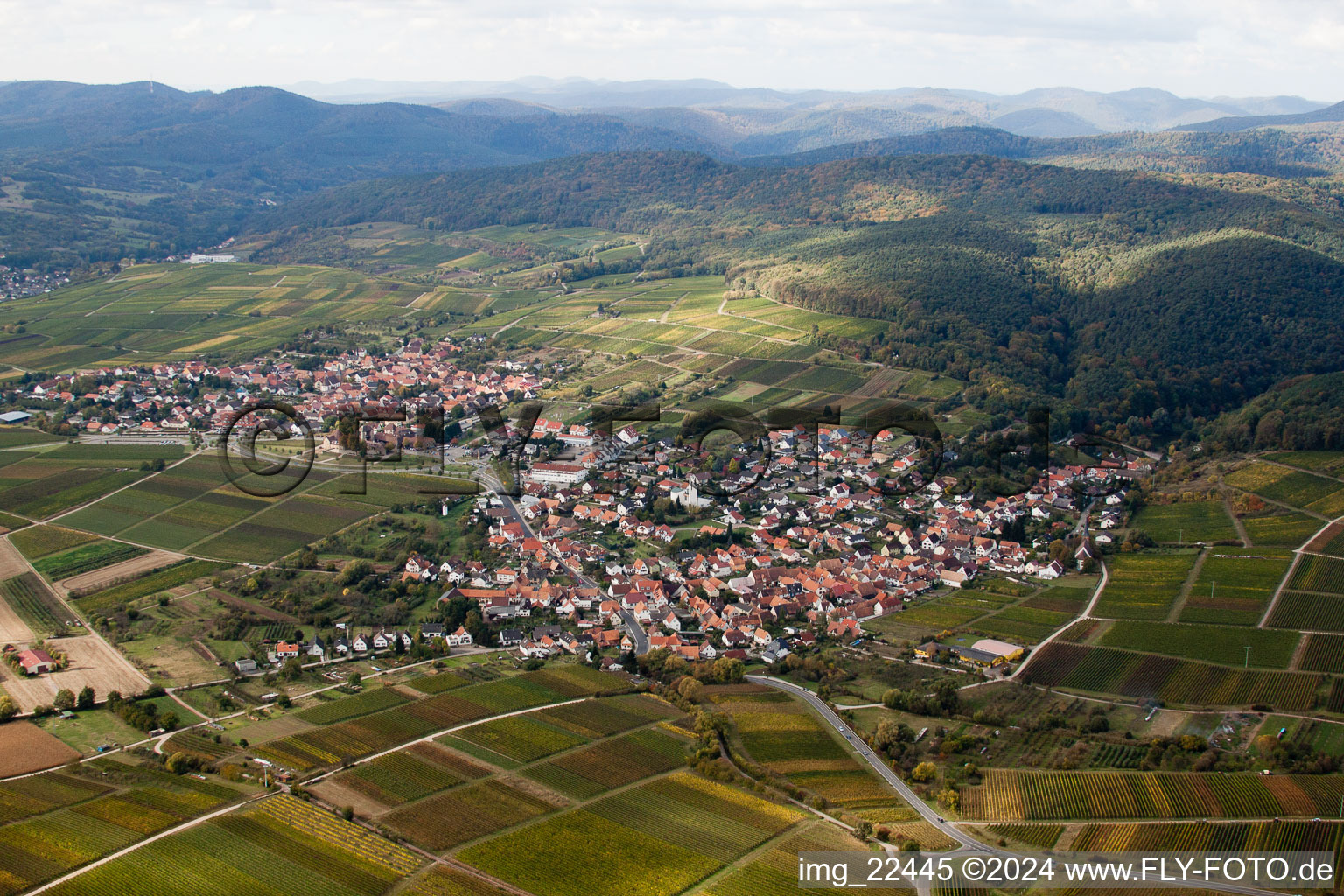 District Rechtenbach in Schweigen-Rechtenbach in the state Rhineland-Palatinate, Germany from the plane