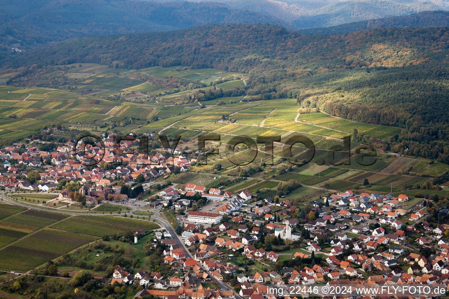 Bird's eye view of District Rechtenbach in Schweigen-Rechtenbach in the state Rhineland-Palatinate, Germany