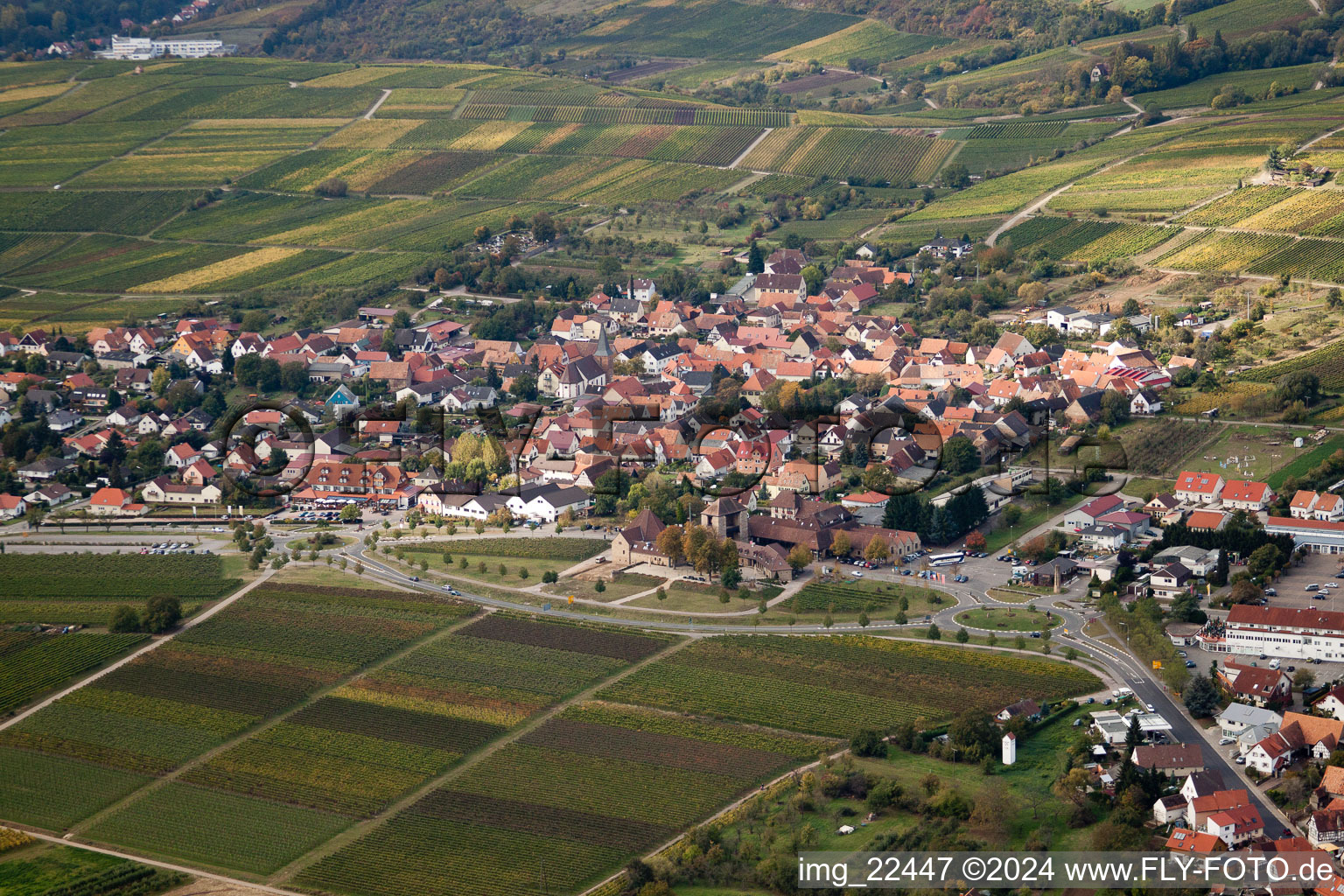 District Schweigen in Schweigen-Rechtenbach in the state Rhineland-Palatinate, Germany from above