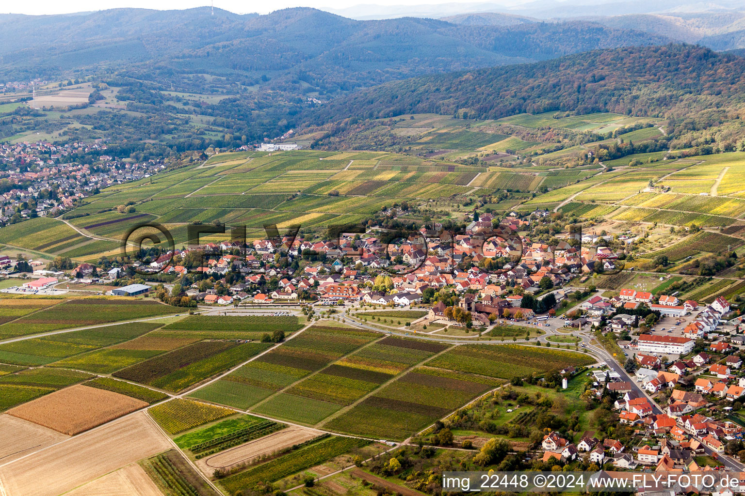 Aerial photograpy of Village - view on the edge of wine yards in Schweigen in the state Rhineland-Palatinate, Germany