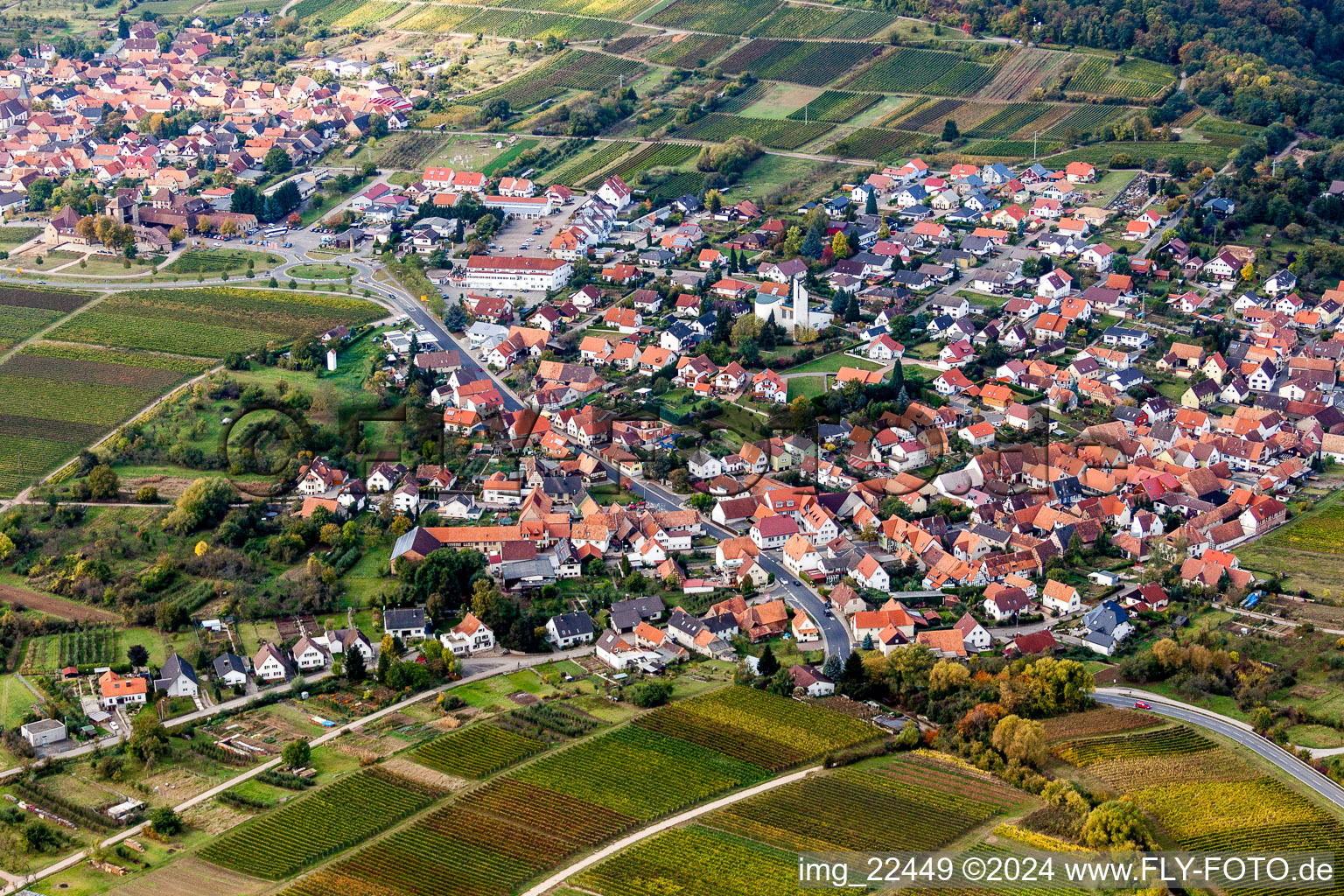 Oblique view of Village - view on the edge of wineyards and forsts in Rechtenbach in the state Rhineland-Palatinate, Germany