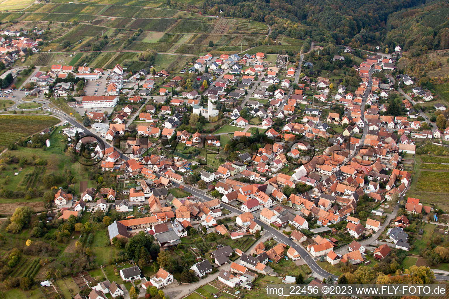 District Rechtenbach in Schweigen-Rechtenbach in the state Rhineland-Palatinate, Germany from the drone perspective
