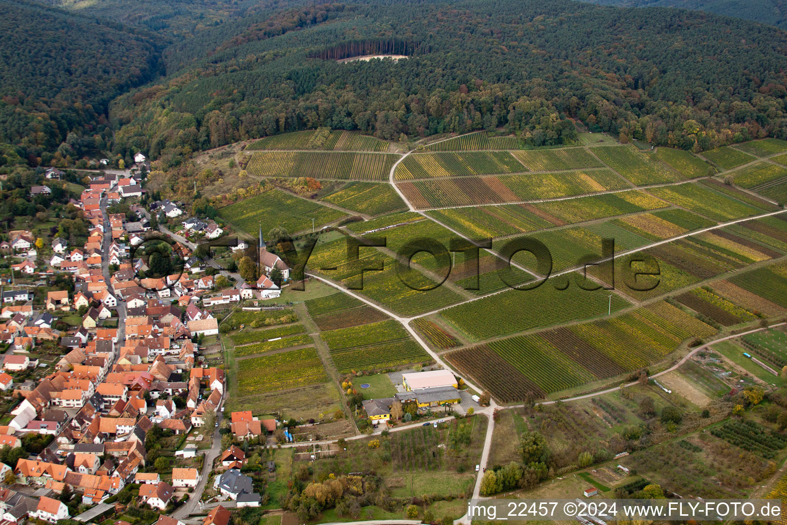 District Rechtenbach in Schweigen-Rechtenbach in the state Rhineland-Palatinate, Germany from a drone