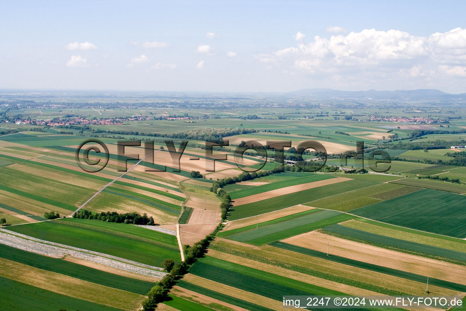 From northeast in Insheim in the state Rhineland-Palatinate, Germany