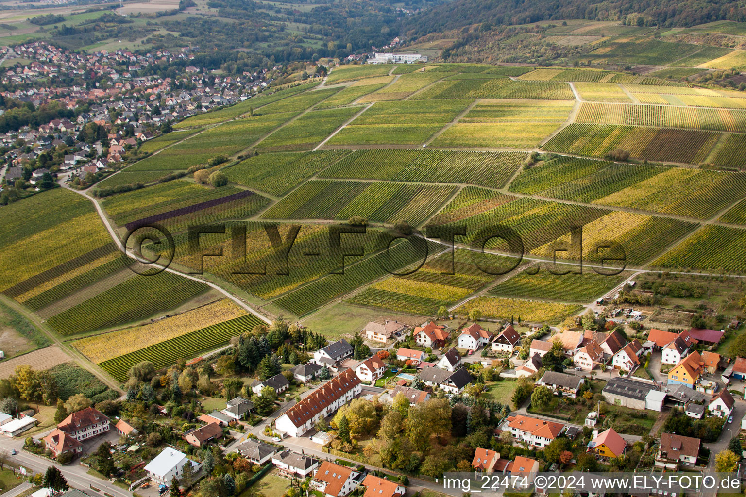 Drone recording of Sonnenberg in the district Schweigen in Schweigen-Rechtenbach in the state Rhineland-Palatinate, Germany