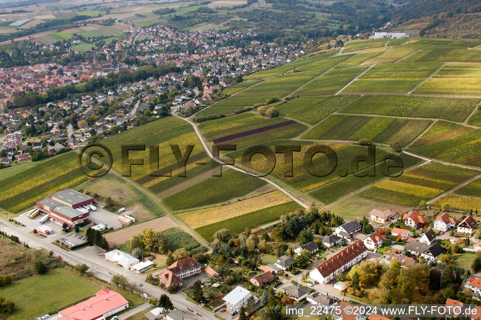 Drone image of Sonnenberg in the district Schweigen in Schweigen-Rechtenbach in the state Rhineland-Palatinate, Germany